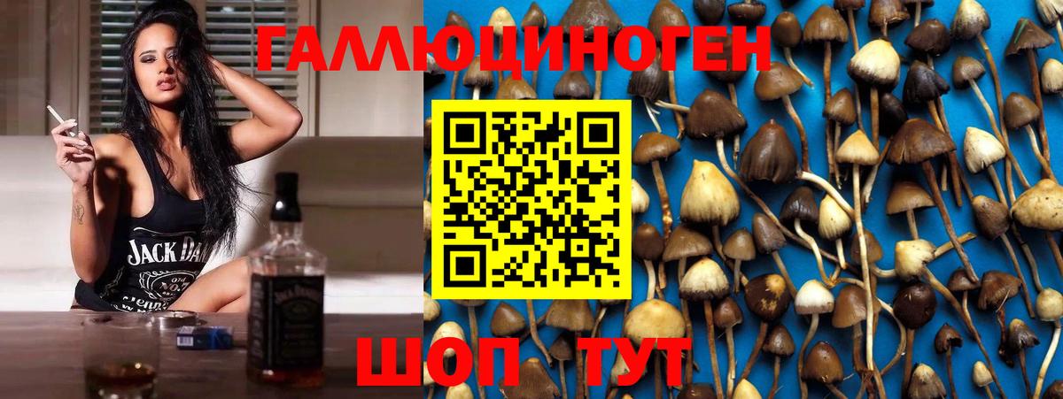 Псилоцибиновые грибы прущие грибы Алушта